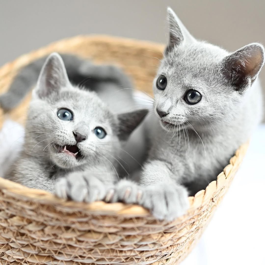 Kyla & Kairo Photo 2